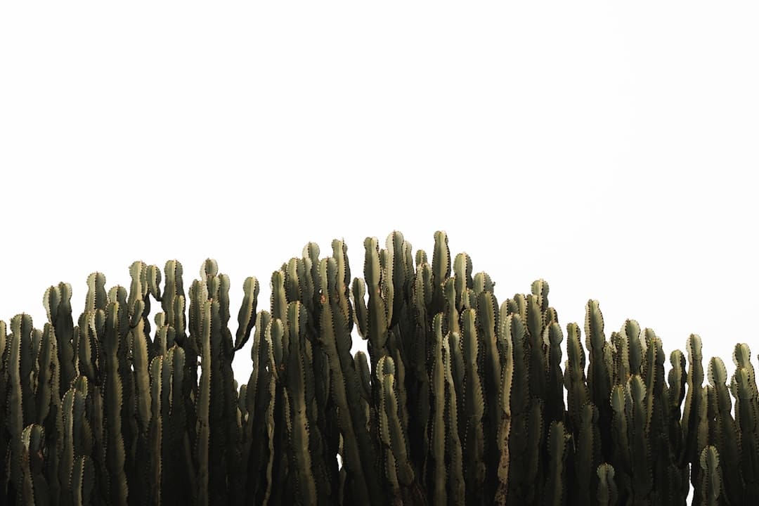 电影《凤鸣鹤唳》：不忘初心以工匠精力匠助力深圳电影